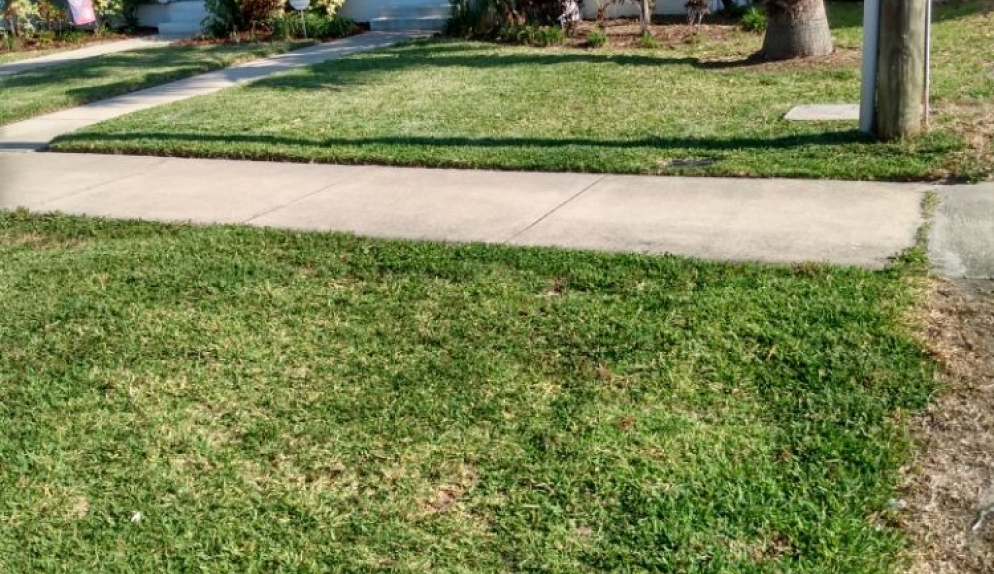 Landscaping