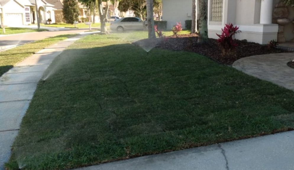 Irrigation